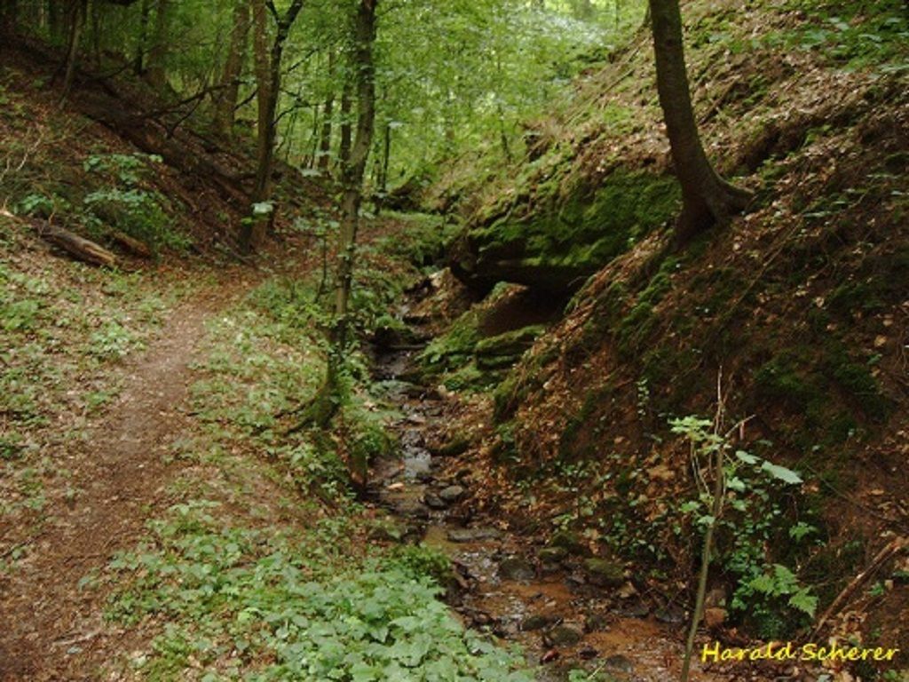 DHW0009.jpg
